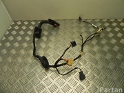 SKODA 6V0 971 121 T / 6V0971121T FABIA III (NJ3) 2015 Harness for interior