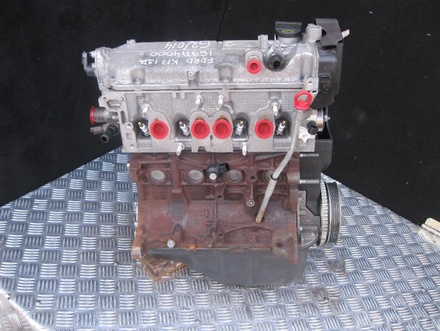 FORD FP4 (169A4.000) / FP4169A4000 KA (RU8) 2009 Complete Engine