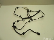 NISSAN 24017 JD00A / 24017JD00A QASHQAI / QASHQAI +2 I (J10, JJ10) 2008 Cables de salón