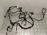 TESLA AG130726, AG130730 MODEL S 2013 Harness for interior