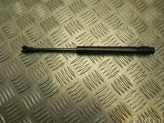 BMW 9168507 5 Touring (F11) 2011 Gas Spring