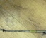 OPEL CORSA D 2008 Oil Dipstick